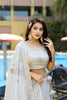 Amazing Grey Embroidered Organza Lehenga Choli with Dupatta for Wedding