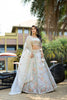 Amazing Grey Embroidered Organza Lehenga Choli with Dupatta for Wedding