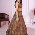 Stunning Brown Embroidered Soft Net Lehenga Choli with Dupatta for Women