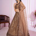 Stunning Brown Embroidered Soft Net Lehenga Choli with Dupatta for Women