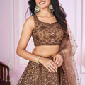 Stunning Brown Embroidered Soft Net Lehenga Choli with Dupatta for Women