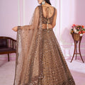 Stunning Brown Embroidered Soft Net Lehenga Choli with Dupatta for Women