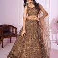 Stunning Brown Embroidered Soft Net Lehenga Choli with Dupatta for Women