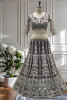 Trendy Chocolate Brown Heavy Embroidered Butterfly Net Lehenga Choli with Dupatta