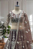 Trendy Chocolate Brown Heavy Embroidered Butterfly Net Lehenga Choli with Dupatta