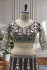 Trendy Chocolate Brown Heavy Embroidered Butterfly Net Lehenga Choli with Dupatta
