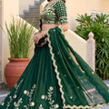Stylish Rama Green Rangoli Silk Lehenga Choli with Embroidery Work and Matching Dupatta