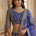 Fancy Royal Blue Butterfly Net Embroidered Bridal Lehenga Choli with Dupatta