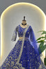 Fancy Royal Blue Butterfly Net Embroidered Bridal Lehenga Choli with Dupatta