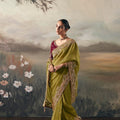 Olive Green Designer Saree with Maroon Blouse Party Wear Saree