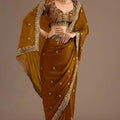  Brown Silk Saree with Heavy Embroidered Border Designer Blouse