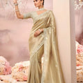 Champagne Gold Silk Saree with Shimmering Embroidered Border