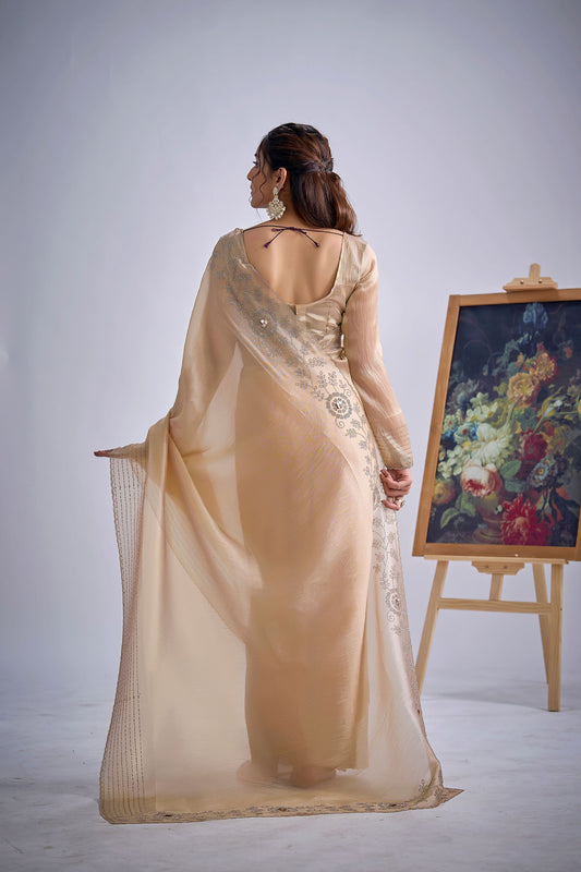 Champagne Gold Embroidered Silk Saree Designer Blouse
