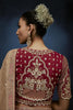 Beige Gold Embroidered Designer Saree Heavy Border Red Blouse
