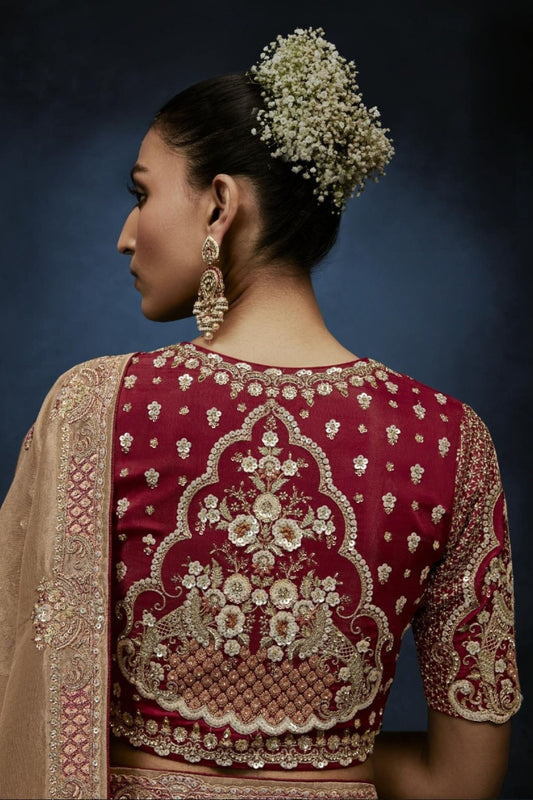 Beige Gold Embroidered Designer Saree Heavy Border Red Blouse