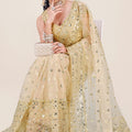 Cream Gold Net Saree Heavy Sequins Embroidery Work Designer Blouse