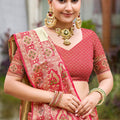 Beige Silk Saree Red Pink Banarasi Border Traditional Saree