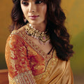 Golden Silk Saree with Embroidered Border Readymade Blouse