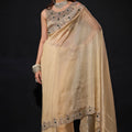 Golden Shimmer Silk Saree with Heavy Stone Zari Embroidered Border