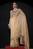 Golden Shimmer Silk Saree with Heavy Stone Zari Embroidered Border