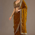 Brown Silk Saree with Heavy Embroidered Border Designer Blouse