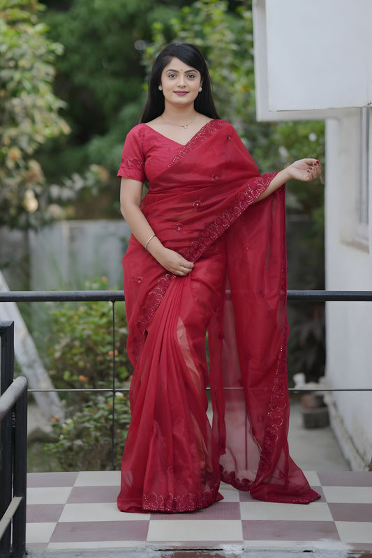 Red Organza Saree with Embroidered Border Designer Blouse