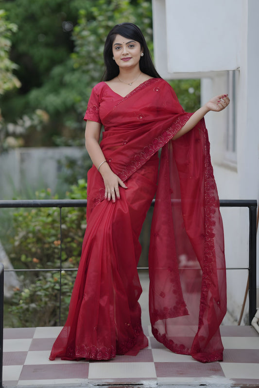 Red Organza Saree with Embroidered Border Designer Blouse