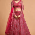 Stunning Hot Pink Soft Net Sequins Embroidered Lehenga Choli with Dupatta