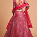 Stunning Hot Pink Soft Net Sequins Embroidered Lehenga Choli with Dupatta