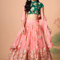 Elegant Peach Soft Net Embroidered Lehenga Choli with Green Silk Blouse and Dupatta