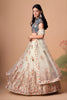 Charming Cream Soft Net Embroidered Lehenga Choli with Grey Blouse and Dupatta