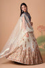 Charming Cream Soft Net Embroidered Lehenga Choli with Grey Blouse and Dupatta