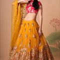 Imperial Mustard Yellow Soft Net Embroidered Lehenga Choli with Red Blouse and Dupatta