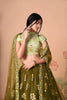 Elegant Olive Green Soft Net Embroidered Lehenga Choli with Pista Green Blouse and Dupatta