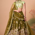 Elegant Olive Green Soft Net Embroidered Lehenga Choli with Pista Green Blouse and Dupatta