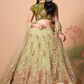 Beautiful Pista Green Soft Net Embroidered Lehenga Choli with Olive Green Blouse and Dupatta