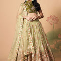 Beautiful Pista Green Soft Net Embroidered Lehenga Choli with Olive Green Blouse and Dupatta