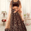Elegant Maroon Heavy Embroidered Velvet Bridal Lehenga Choli with Soft Net Dupatta