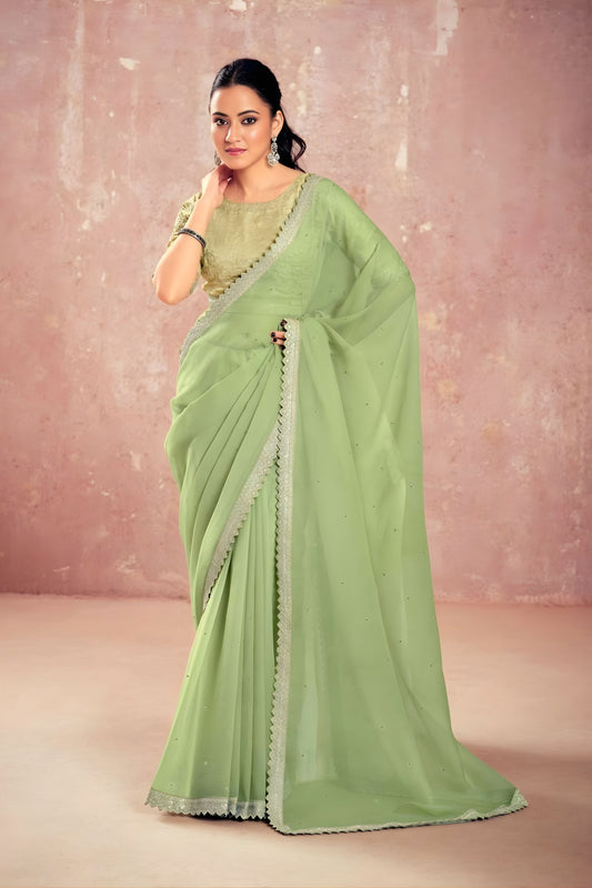 Pastel Green Georgette Saree Silver Embroidered Border Designer Blouse 