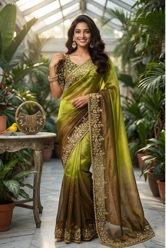 Olive Green Brown Ombre Silk Saree with Heavy Embroidered Border
