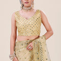 Cream Gold Net Saree Heavy Sequins Embroidery Work Designer Blouse