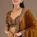 Brown Silk Saree with Heavy Embroidered Border Designer Blouse