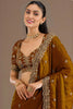 Brown Silk Saree with Heavy Embroidered Border Designer Blouse