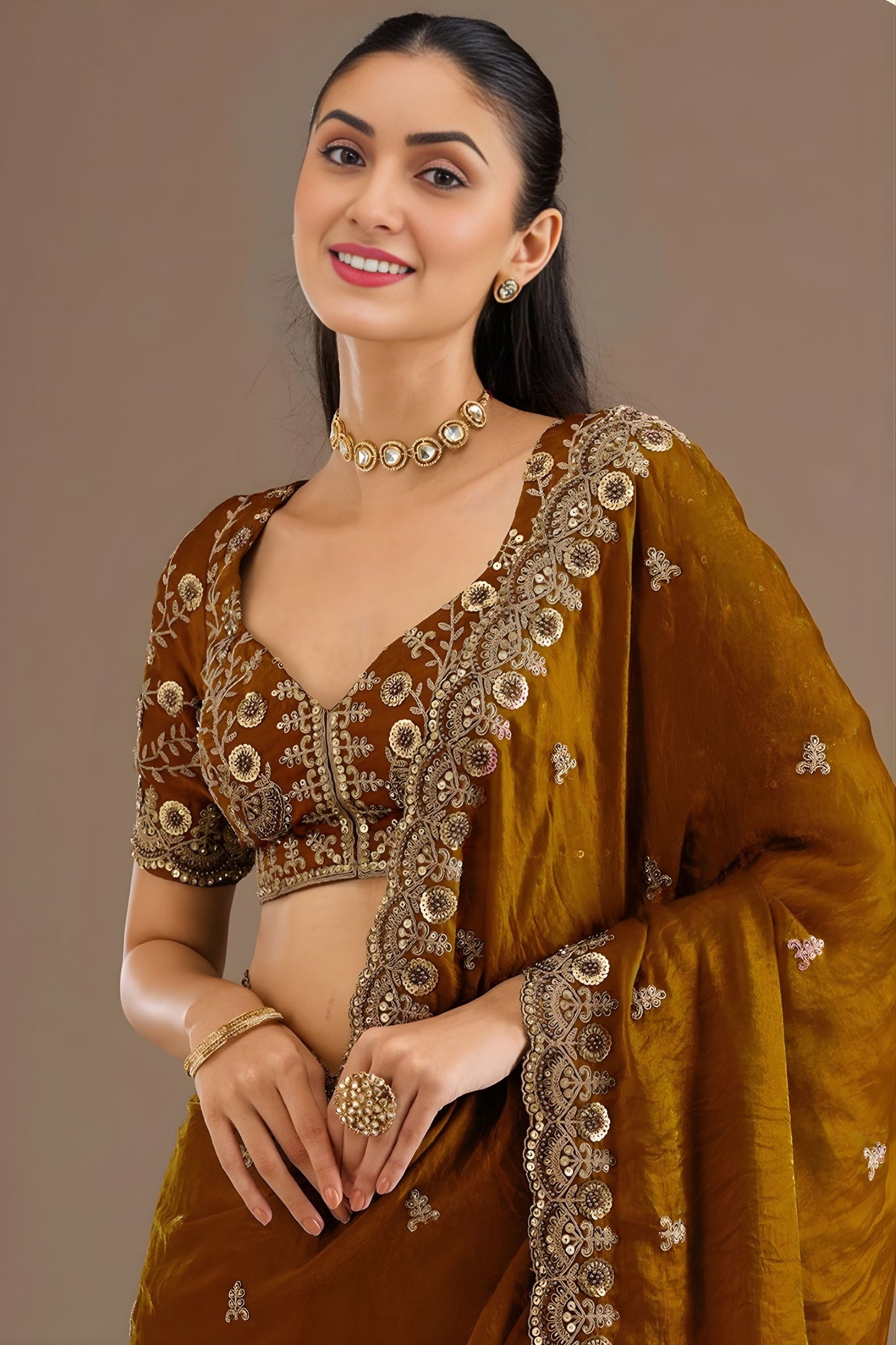 Brown Silk Saree with Heavy Embroidered Border Designer Blouse