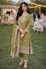 Stylish Olive Green Gold Crush Embroidered Salwar Suit Set with Dupatta for Wedding