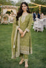 Stylish Olive Green Gold Crush Embroidered Salwar Suit Set with Dupatta for Wedding