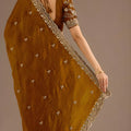 Brown Silk Saree with Heavy Embroidered Border Designer Blouse