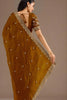 Brown Silk Saree with Heavy Embroidered Border Designer Blouse