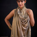 Golden Grey Tissue Silk Saree with Subtle Zari Butti Work