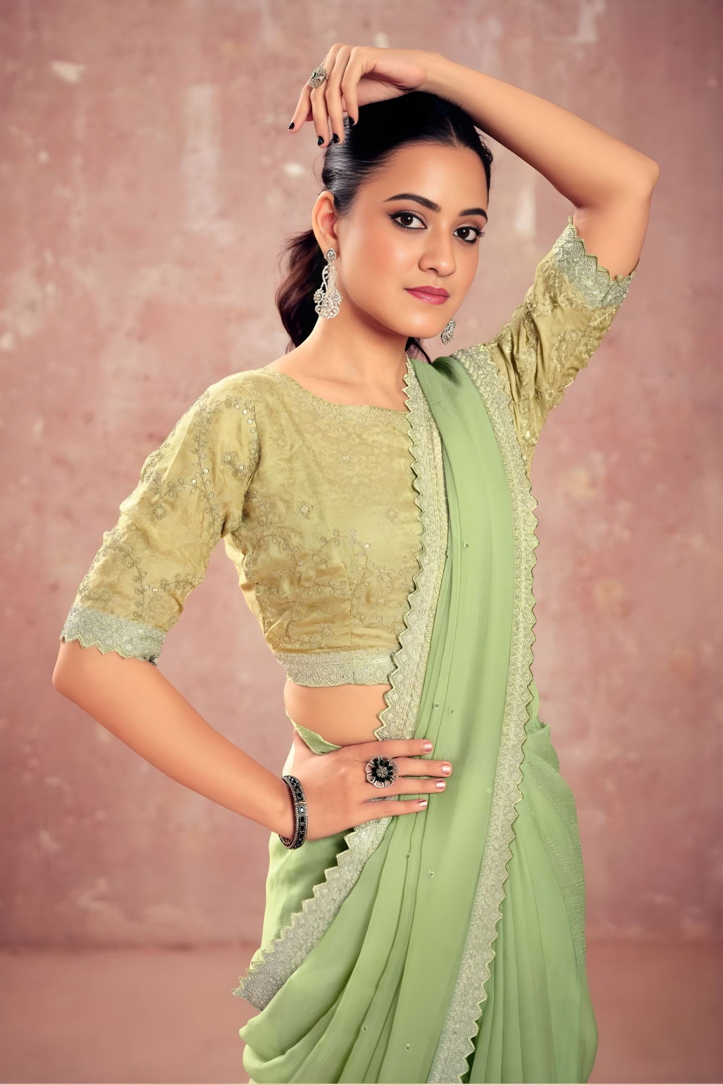 Pastel Green Georgette Saree Silver Embroidered Border Designer Blouse